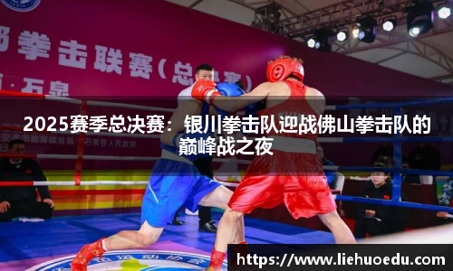 2025赛季总决赛：银川拳击队迎战佛山拳击队的巅峰战之夜
